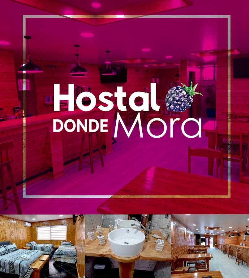 Hostal Donde Mora Villarrica Luaran gambar